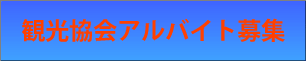 �A���o�C�g��W