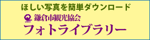 フォトライブラリー