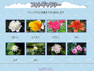 �ʐ^�W