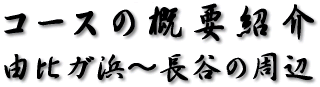 R[X̊TvЉ