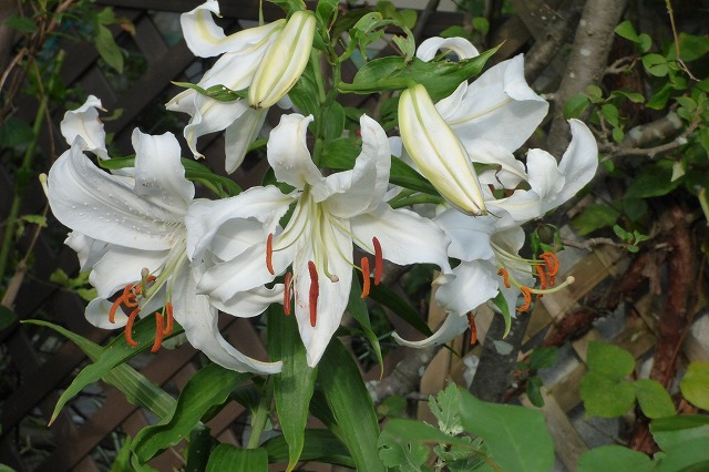 ���}����