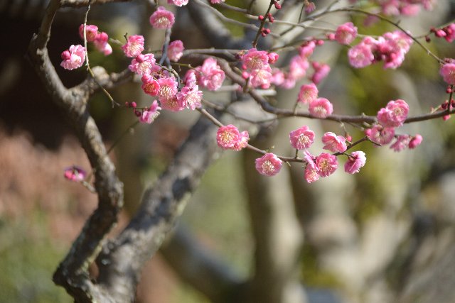 �C�����@