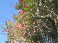 �`���V�_��