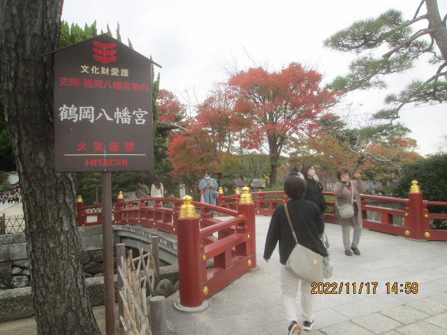 �g�t�A�߉������{ ����ٍ��V���̂���