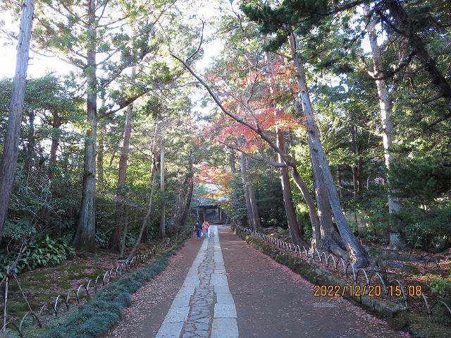 �ӏH�̎������Q��