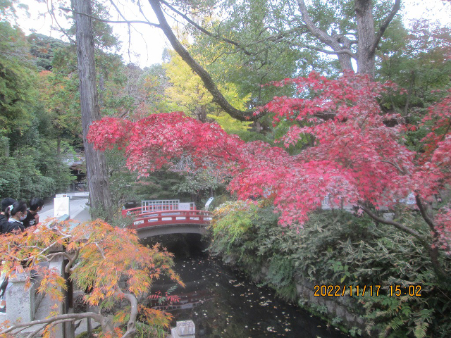 �g�t�A�߉������{�A����ٍ��V���̂���