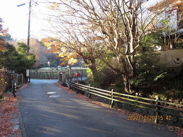 �ʌ�������i�����Ղ��̂���