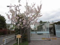 ���q���w�@