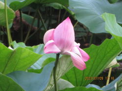 �����r�̘@