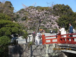 ���炫�̍�