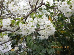 �I�I�V�}�T�N��