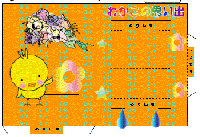 card10