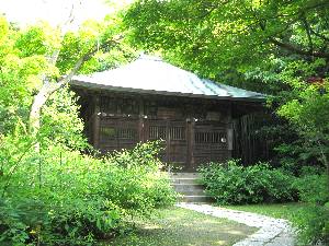 写真4