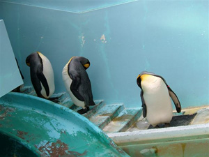 水族館