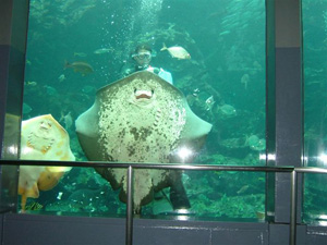 水族館