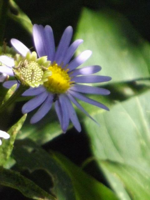 �S���M�N