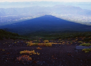 hujinokage