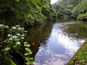sanzagaike