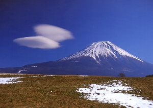 siroirizumu