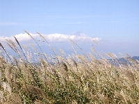 nangousan