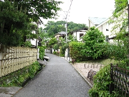 izumigayatsu01