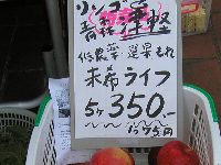 青森の低農薬リンゴ