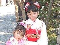 鶴岡八幡宮・七五三 鶴岡八幡宮・七五三